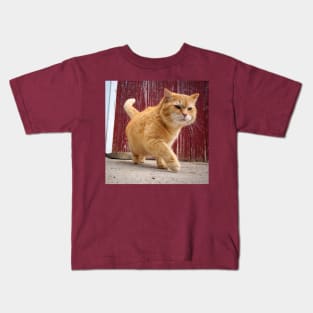 Fat Orange Cat Kids T-Shirt